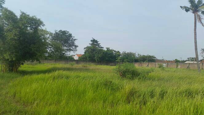Gudang disewakan di Cikarang Utara